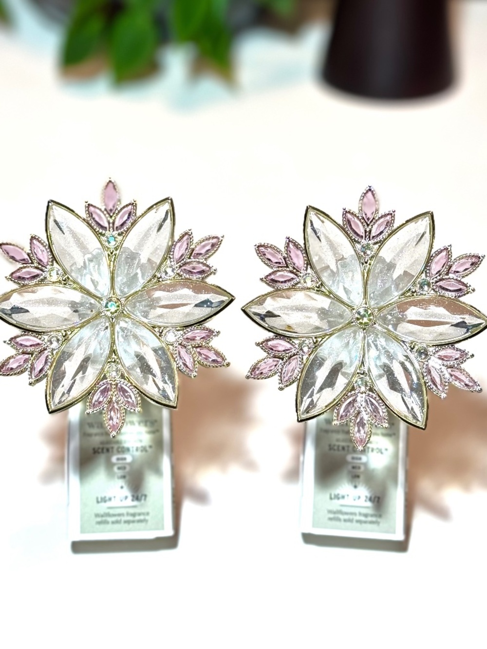 CRYSTAL BURST Wallflowers Plugs